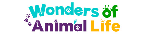 Wonders of Animal Life
